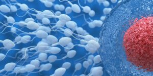 Tot ceea ce trebuie să știi despre inseminarea intrauterină