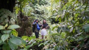 Cum să organizezi o vacanță de explorare în jungle tropicale