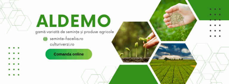 Facelia, sorg hibrid, muștar, ridiche oleaginoasă, trifoi încarnat și raigras anual – soluții ALDEMO TQM pentru fermierii care investesc în sol, nu doar în recoltă