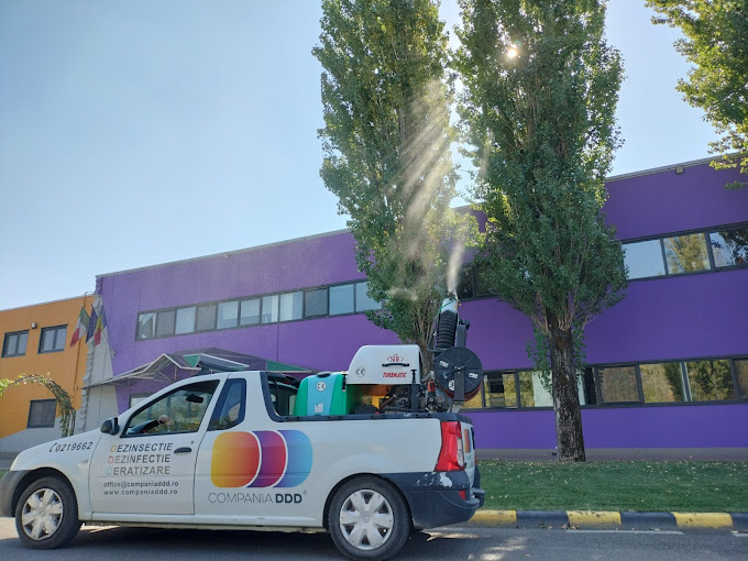 Cum se implementează un contract DDD eficient în condominii