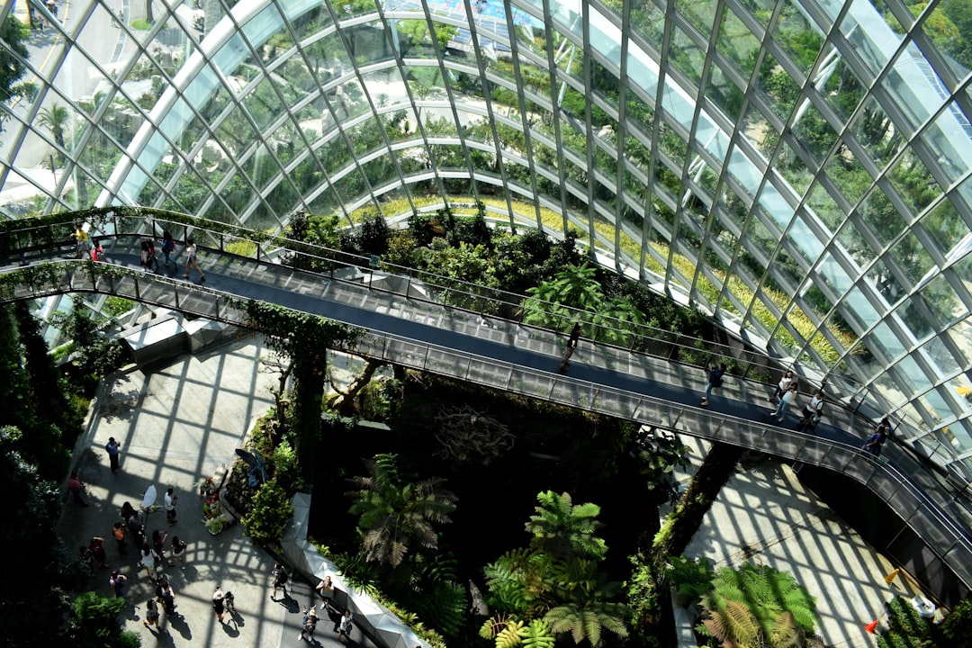 Photo sustainability