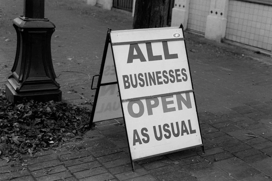 reasons new businesses fail infographic